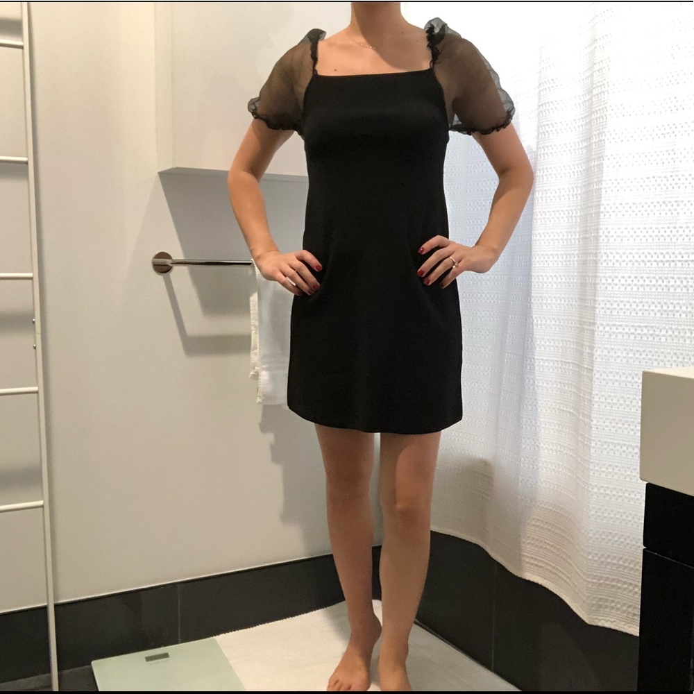 Zara Tulle Sleeve Dress